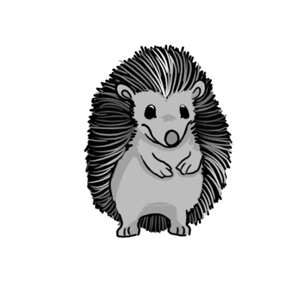Illustration of rainbow hedgehog